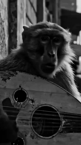 جمعتكم طيبه 🤍🌷)وماعليكم من الفيديو😂💔 حطو حالات دينيه خير الخطاون👍 التوابون#يوم_الجمعه #يوم_الجمعه #fyppppppppppppppppppppppp #ستوريات #اكسبلور 