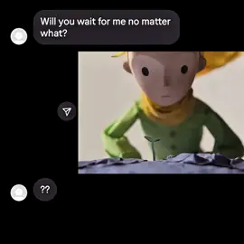 #littleprince #lepetitprince #foryou 