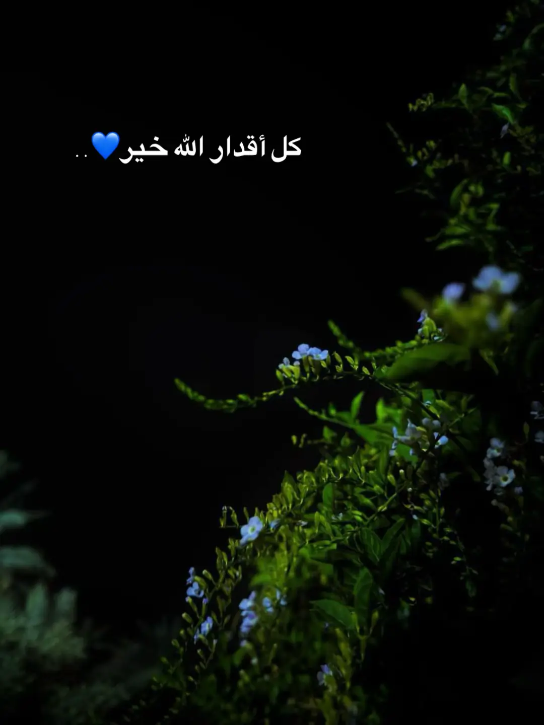 ‏كل أقدار الله خير🦋🤍✨