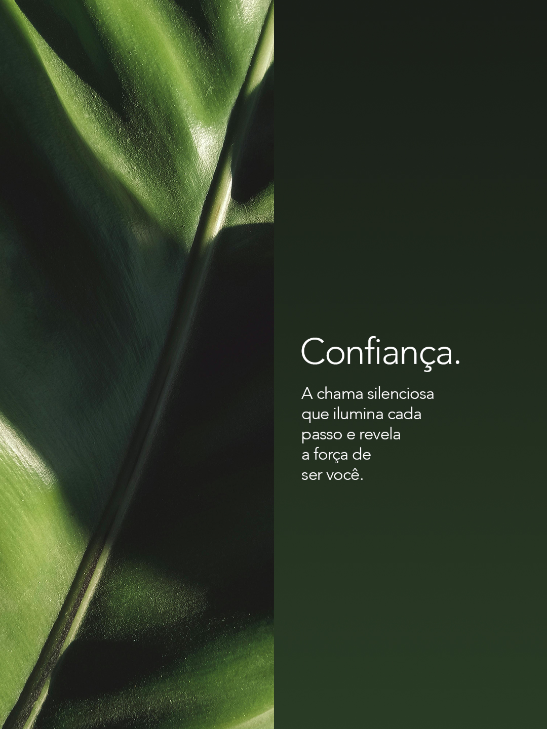 Cada resultado reflete confiança. Nosso propósito é simples e essencial: que você se sinta plena, em equilíbrio e segura de si.​ ​ ​ #estetica #botoclinic #blover #confiança #antesedepois