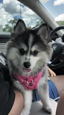 #CapCut mi estrellita ✨😍🌸💕