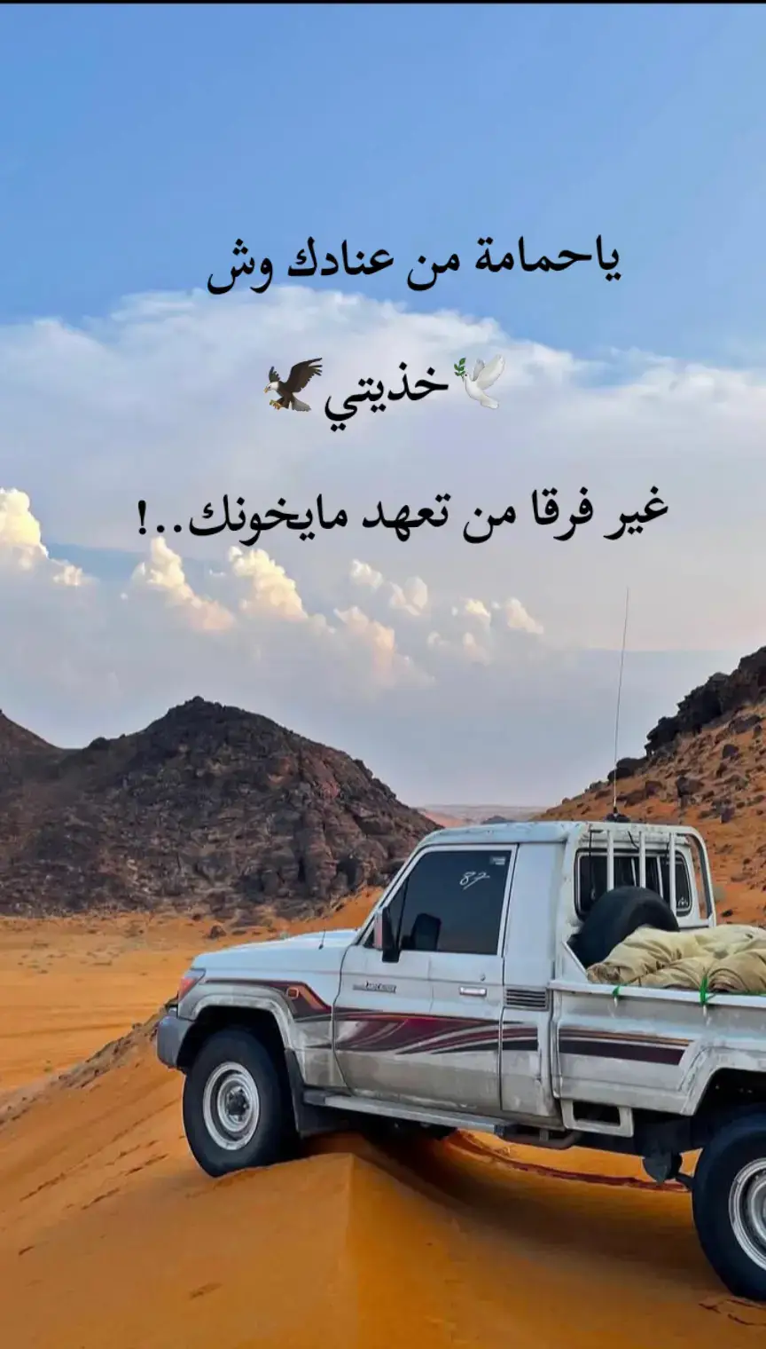 #مشاهداتتيكتوك #مشاهداتي  #✅🚸🦅 #تصويري_احترافي_الاجواء👌🏻🕊😴 