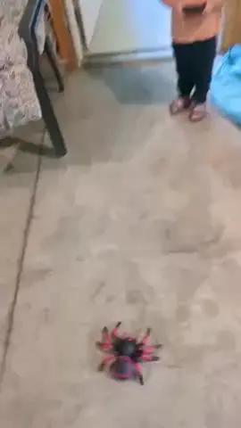 #foryoupage #paratiiiiiiiiiiiiiiiiiiiiiiiiiiiiiii #meme #fypシ゚viral #random 