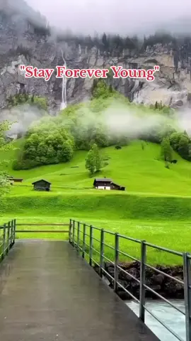 #fypviralシ #foryoupage #foryoupage❤️❤️ #music #fyp 