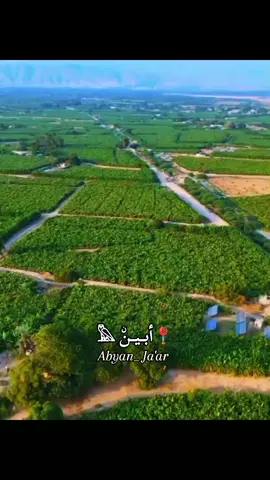 #بـدو_ابيـن_دثينـة_مـوديـة #ابين #ابين_موديه_دثينه #أبين #ابين_عصيه #أبين_تقود_ولاتنقاد✌ #fyp #fypシ #foryou 