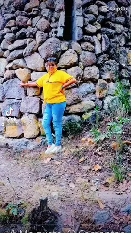 #greenscreen #QVLV #fypシ゚viral #Otoño #formepegue 