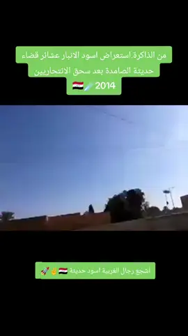 #حديثه_عذراء_الانبار 