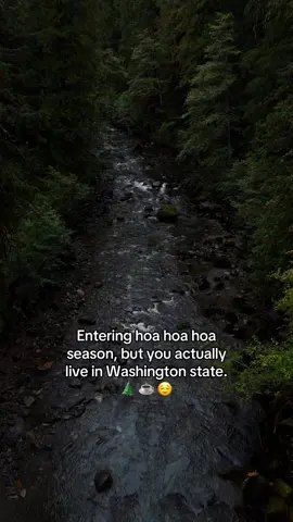 As much as I LOVE summer here… there’s just something about those crisp fall mornings in Washington that hit different. The fog. The pine trees. The rain that never really stops. 🌲☁️ #twilightvibes #washingtoncreator #pnw #twilighttiktok #fall