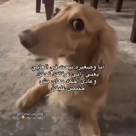 😱🥰😘😳🦶🏻 #ليبيا🇱🇾 #ألعاب #Explore #fyp #الشعب_الصيني_ماله_حل😂😂 