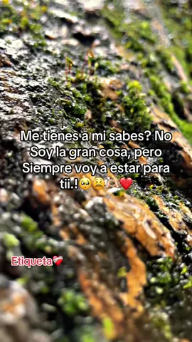 #videoviral #frases #paratiiiiiiiiiiiiiiiiiiiiiiiiiiiiiiiii💘 #frasesdeamor🥺🥰👑 @Verly. Mami te extraño 😫🥺