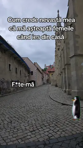 Așa crede ea ,când ies din casă 😅 #Romaniamemes #MemeCut #funnyvideo #foryou #umor 