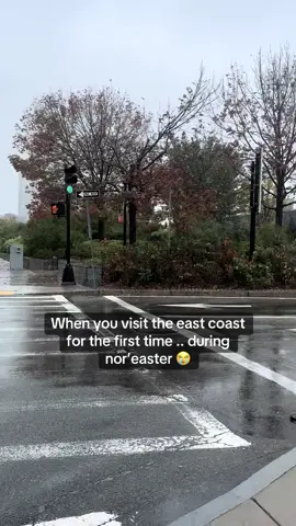 Honestly still such a beautiful city but wish we got some kind of sunshine 😭 #bostontiktok #stormi #jet2holidays #eastcoast 