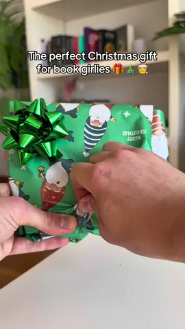 Perfect Christmas gift for book lovers 🎄📚🎁 #BookTok #bookishgifts #reader #gifts #booklover 