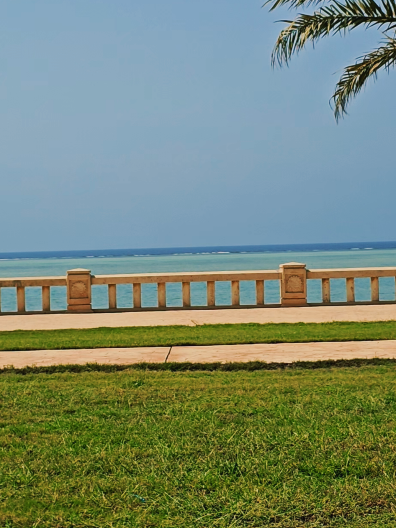 #بحر_ينبع #ينبع_المزه #اكسبلورexplore #تصويري_احترافي_الاجواء👌🏻🕊😴 #foryoupage 