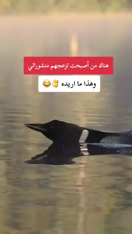 #الشعب_الصيني_ماله_حل😂😂 @ĸαɒєя__sαℓiм _🇩🇿_✓ 