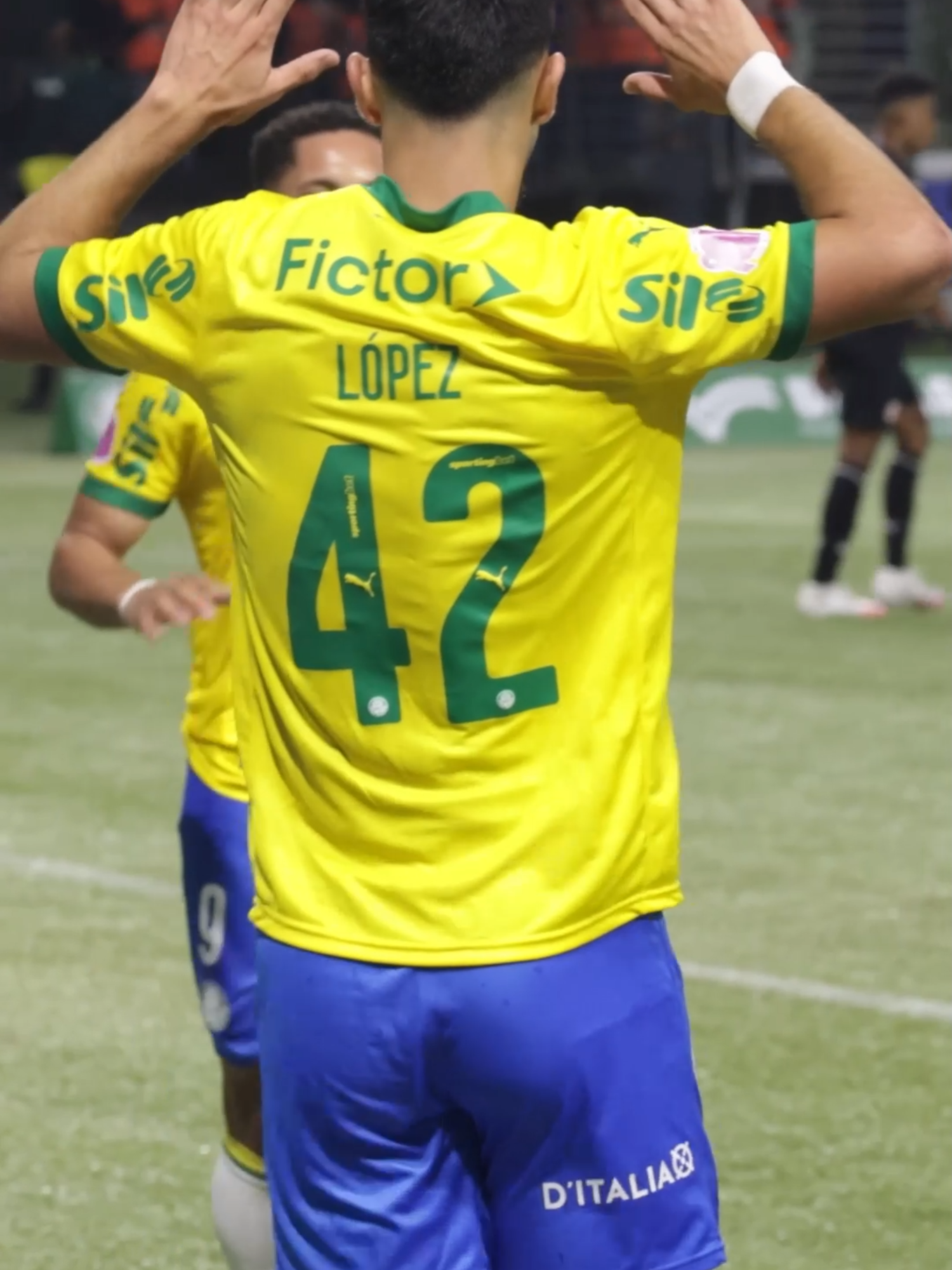 Meu hermano não para de marcar! 😜🇦🇷 #TiktokEsportes #Palmeiras