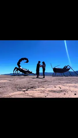 Una bailadita en el desert 🏜️ #borregospringscalifornia #galletameadowssculptures #ricardobrecedasartgallery #cumbiawepa #bailar 