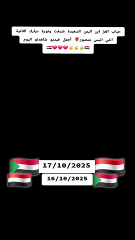 السودان يتعافى ها هي الحياه صاخبة مزدحمة في وقت متاخر من الليل ⁧‫في ام_درمان‬⁩ انذهلت وانصدمت مما رأيت   هذاء‏ انطباعي الأولى لزيارة الخرطوم بعد النصر وطرد ادوات ومليشيا الإمارات  ‏حقائق تكسر اكاذيب عملاء السفارات ومرتادي البارات الصحفي انيس منصور بن اليمن يبعث اقوى رسالة للخونة من ابنا السودان والمشككين 🇸🇩🇾🇪❤️❤️✌️✌️#القوات_المسلحة_السودانية #مشاهير_السودان #القضارف_كسلا_بورسودان #نهرالنيل_الدامر_عطبره_شندي_بربر #ماكس_ابودروسي_البل_يشمل_الجميع 