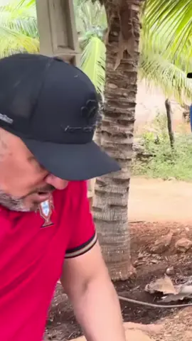 Emu foi pra cima de Tõe 😂