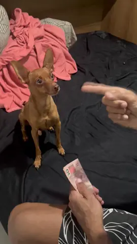 Não aceita perder