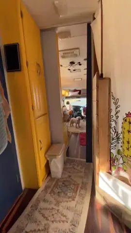 ✌️ 🚐  #rvlife #vanlife #fulltimerv #rving 