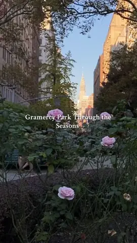 Gramercy through the seasons #gramercypark #nyc #newyork #seasons #fall 