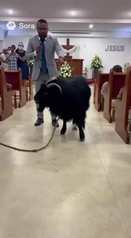 😂😂😂😂.                                              #explore #viral #engracado #comediahumor #foryoupage 