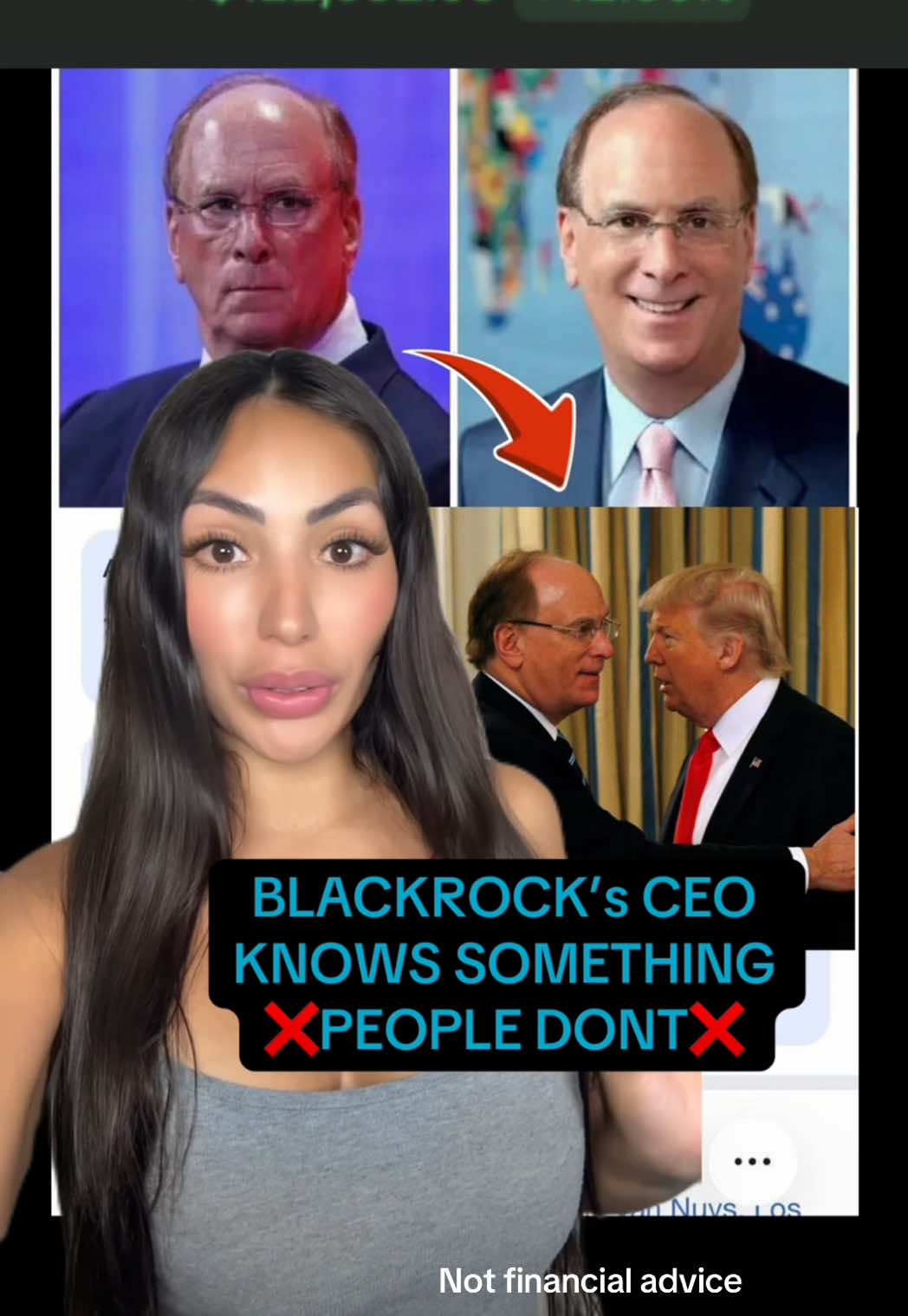 BLACKROCK's CEO KNOWS SOMETHING PEOPLE DONT!  DYOR.
