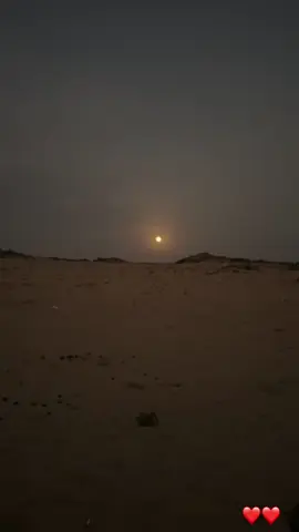 #في هذا اليوم 