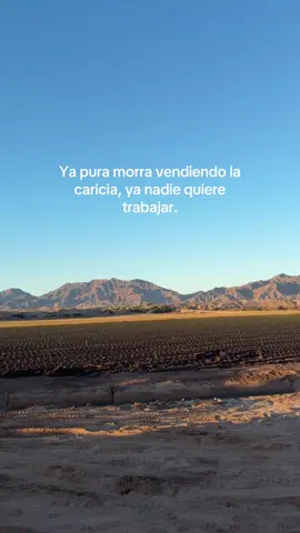 Ta muy bueno ese deporte #foryou #paratii #girlspower #agricultura🚜🌱 #migranteslatinos🇺🇲🇺🇲 