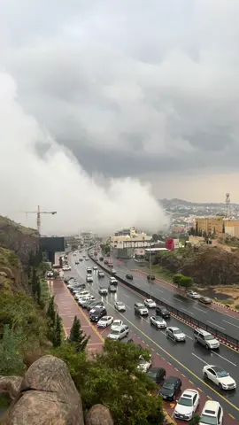 اخترتك من الناس للقلب خله❤️❤️#ابها اكسسبلور