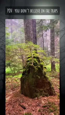 Do you believe?! #doyoubelieve 