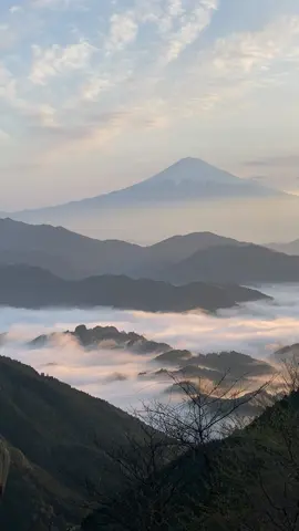 Bình minh cùng biển mây và Phú Sĩ #富士山 #雲海 
