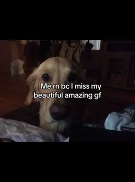 #relatable #gf #fyp #fypシ 