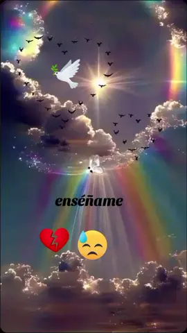 #enseñame #tiktokviral 