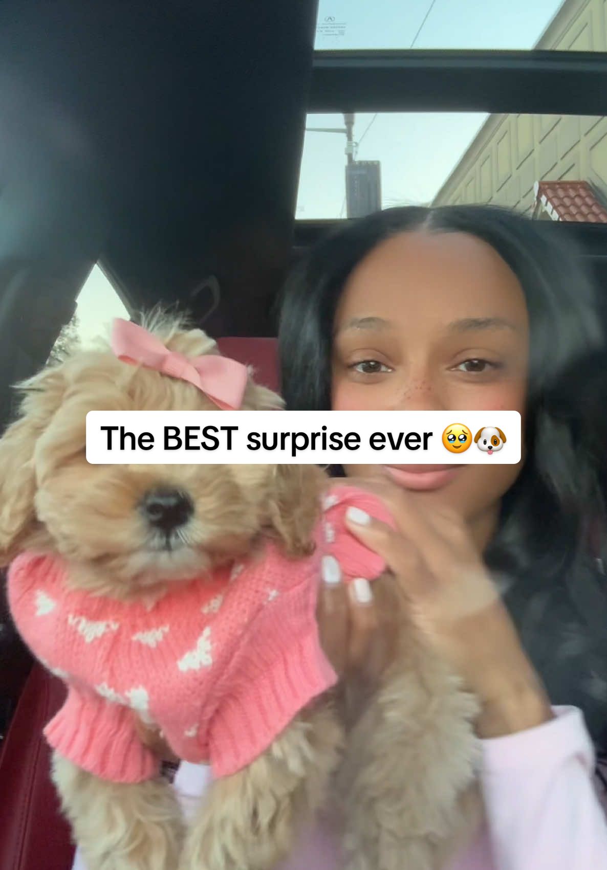 LIKE WHATTT 🥹💕😍🥰🐶 #puppytiktok #puppy #surprise #dogmom 