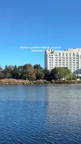#paratiiiiii #flypシ