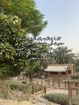 #رضي_الله_عنه_وعن_جميع_صحابة_رسول_الله_ #اللهم_صلي_على_نبينا_محمد 