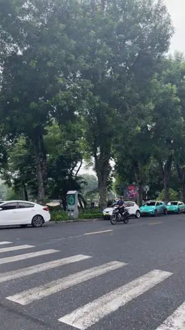 Hứa hẹn nhiều làm gì? Để rồi lại phải chia xa #nhachaymoingay #nhacnaychillphet #nhacnaychillphet #nhactamtrang #xuhuongtiktok 