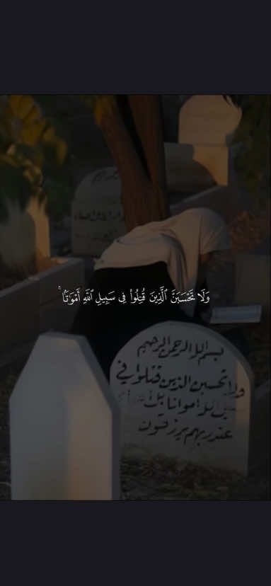 ﴿وَلا تَحسَبَنَّ الَّذينَ قُتِلوا في سَبيلِ اللَّهِ أَمواتًا ﴾ ❤️. —————————— #محمود_جمال #ولا_تحسبن_الذين_قتلوا_في_سبيل_الله_اموات #ولاتحسبن_الذين_قتلو_في_سبيل_الله_امواتا #قران #quran @محمود جمال - MAHMOOD GAMAL 