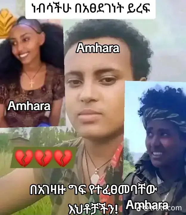#አማራዬ💚💛❤አማራዬ💚💛❤️🐅ፋኖ❤️🐅የኔ #አማራዬ💚💛❤አማራዬ💚💛❤️🐅ፋኖ❤️🐅የኔ #አማራዬ💚💛❤አማራዬ💚💛❤️🐅ፋኖ❤️🐅የኔ 