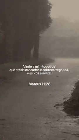 Tempos difíceis podem chegar… mas Jesus sempre disse que estaria conosco. Mande para alguém que você sabe que precisa ler essa mensagem hoje ainda  #jesus #jesuscristo #evangelho #reelscristão #biblia  