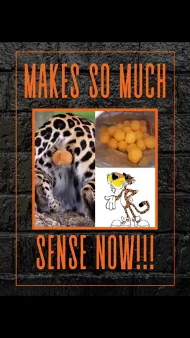 Who loves some cheet-ah balls?! 😅🤣