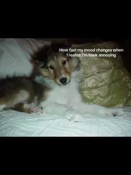 #realateable #viral #xyzbca #fypシ゚viral #ihateu 