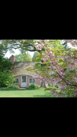 #fyp #nomusic #garden #nature #withoutmusic 