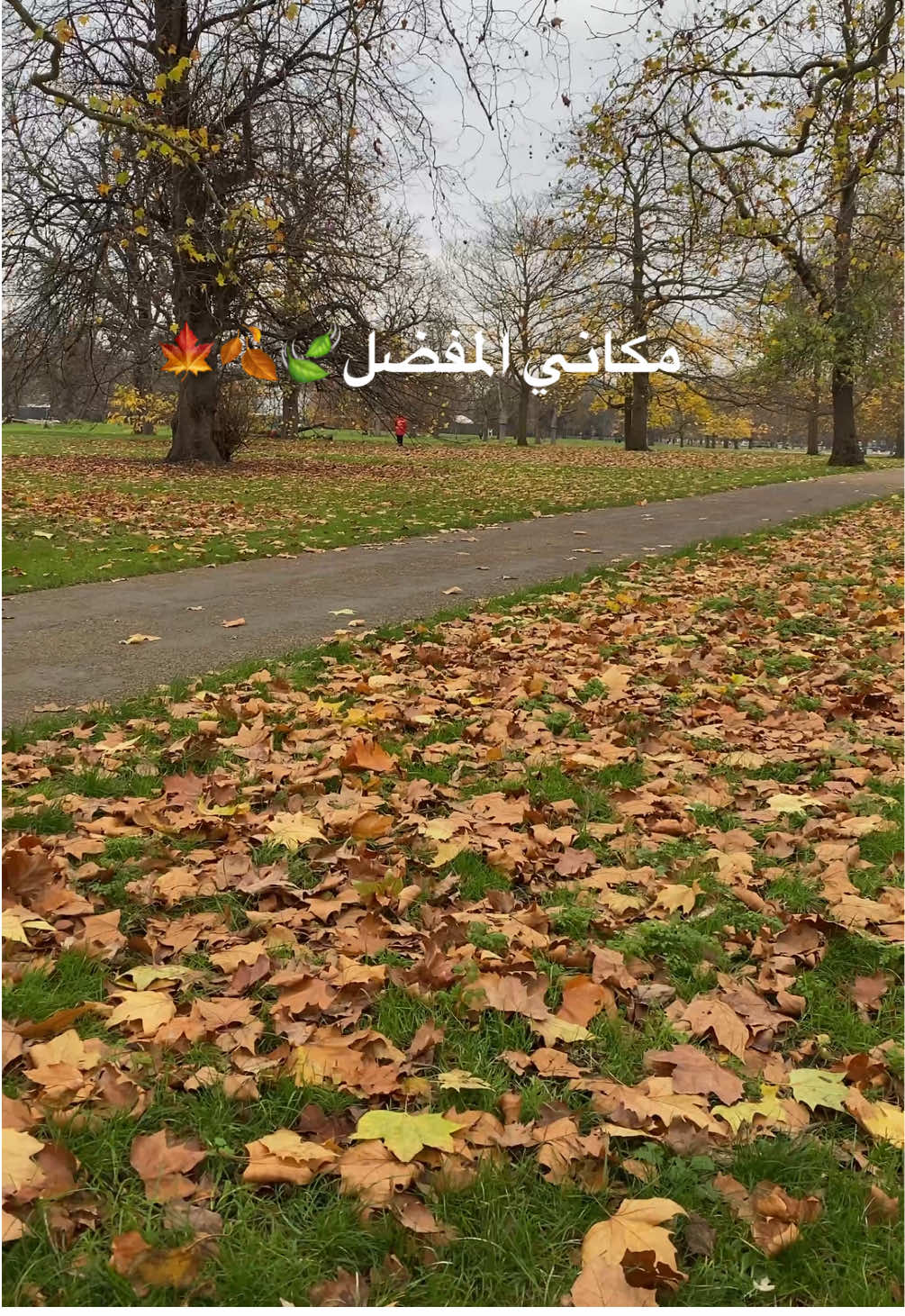 #hydepark #هايدبارك #لندن #autumn #fyp