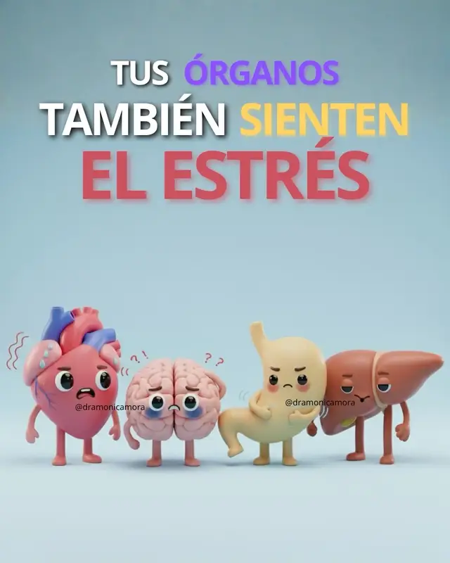 Tu cuerpo habla cuando tu mente calla. 💭💛 Cada órgano tiene su forma de reaccionar al estrés: tu corazón se acelera, tu estómago se inflama, tu piel pierde brillo y tu mente se nubla. El estrés no siempre grita… a veces susurra con cansancio, con tensión en el cuello o con digestiones difíciles. No puedes eliminar todo lo que te estresa — la vida no funciona así — pero sí puedes aprender a responder diferente: respirar, pausar y actuar desde la calma. 🌿 💛 Escuchar tu cuerpo también es una forma de autocuidado. 📌 Guarda este carrusel para recordarlo cuando te sientas abrumada. ✨ Y sígueme para aprender a cuidar tu cuerpo y tu mente con conciencia, no con culpa. #dramonicamora #estres #bienestar #habitosaludables