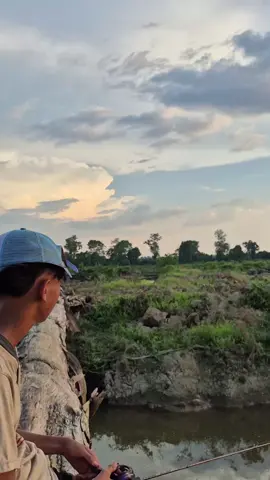 🧠for-rest#sunsetvibes #fouryoupage #masukberanda #4k #fyppppppppppppppppppppppp 