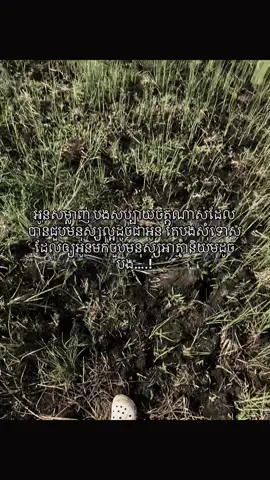បងសុំទោស😌#for 