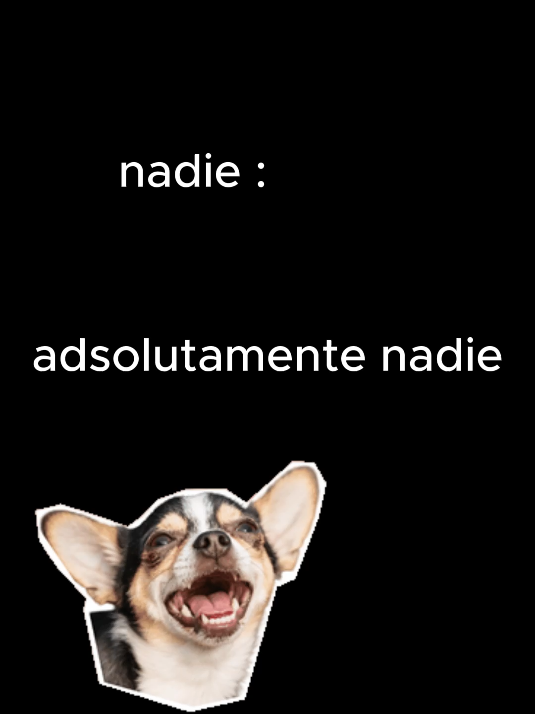solo es humor jaajja#apoyo #streamers #fyp #viral #creadoresdecontenido #proyecto #editor #youtubersontiktok #freefire #freefire_lover #discord #trucoswindows10